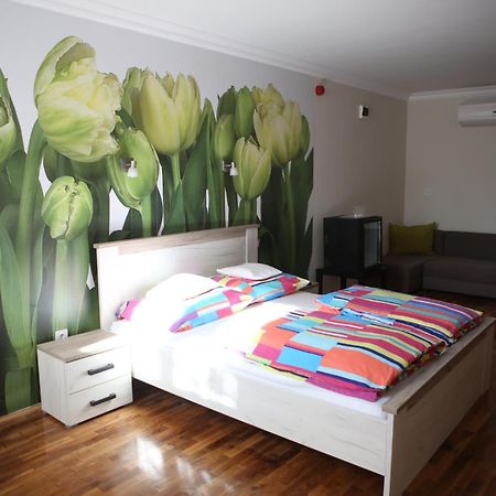 Bed and Breakfast V8-Kelemen Panzió Makó Exterior foto